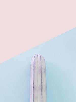 CACTO EM FUNDO ROSA E AZUL