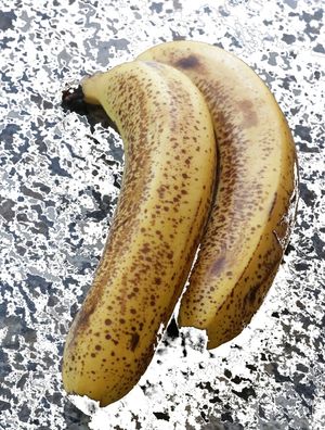 SERÃO BANANAS?