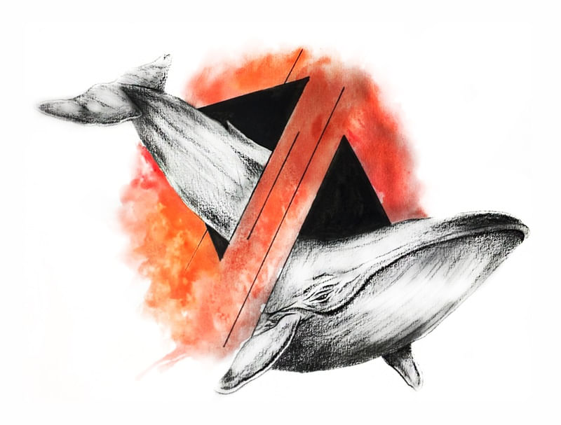 RED WHALE