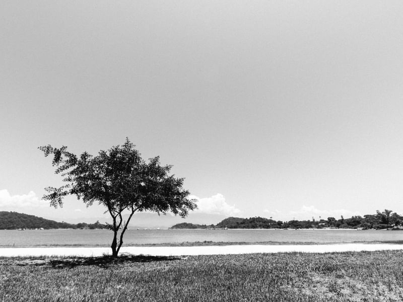 PAQUETÁ I