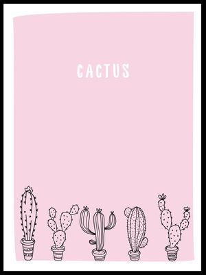 CACTUS MINIMAL