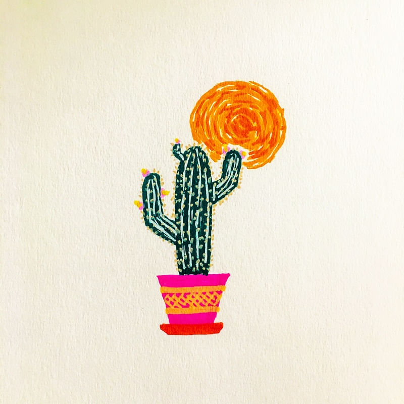 CACTUS V