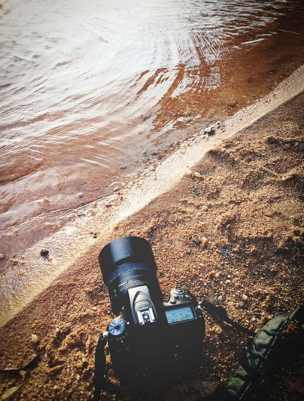 FOTOGRAFIA E NATUREZA