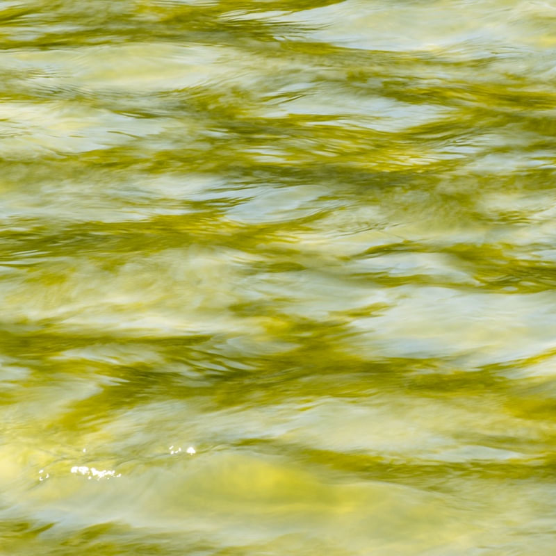 ONDAS IMAGÉTICAS 9 (Q)