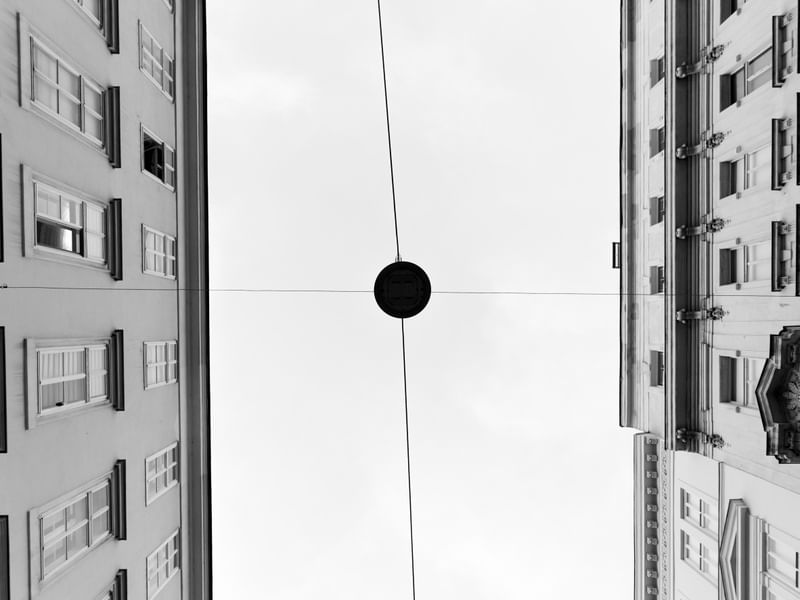 BLACK DOT