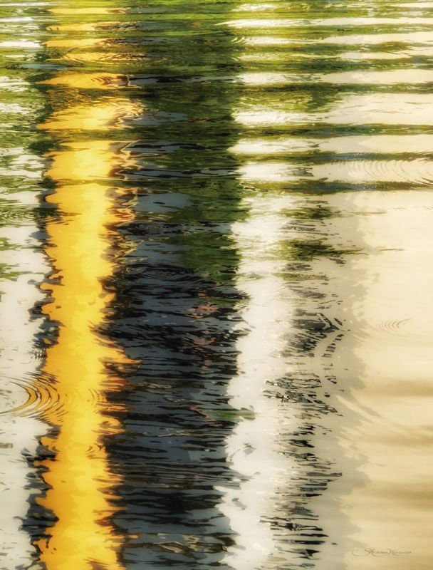 REFLEXOS COLORIDOS NA LAGOA
