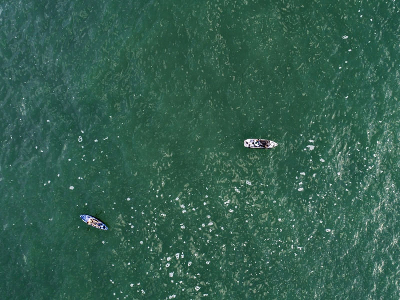 OS CAIAQUES NO MAR VERDE