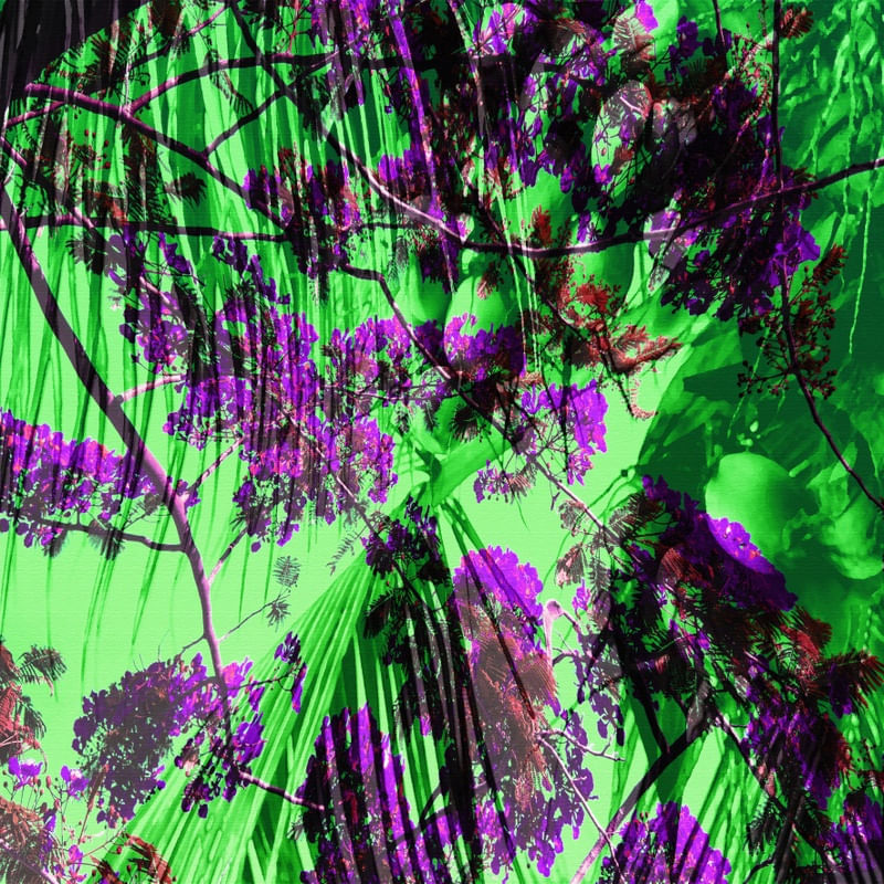 NATUREZA FRUTO E FLORES ARTISTA GLORIA RIMES