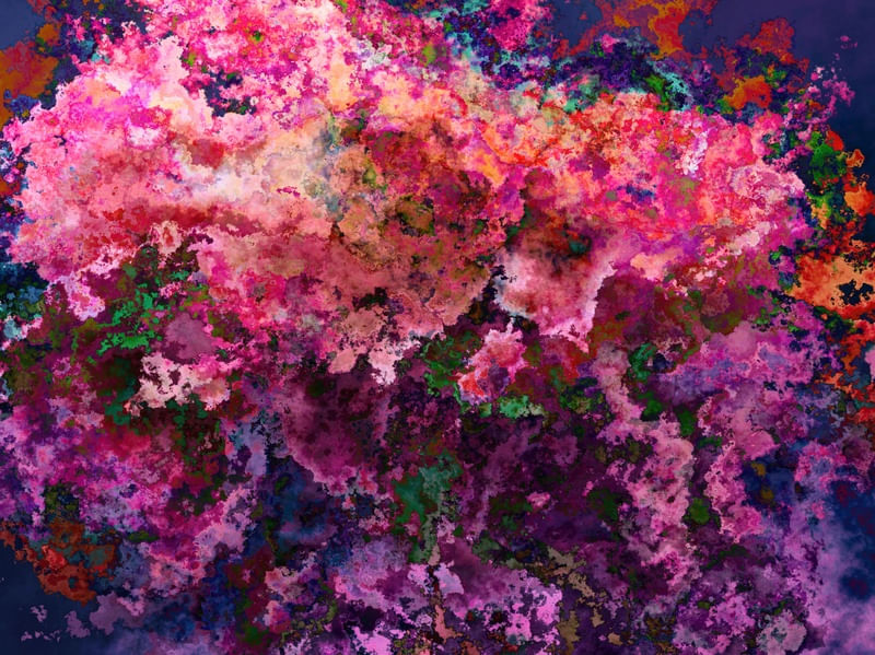 PINK PETALS