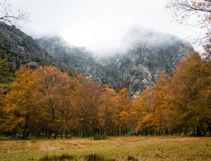 OUTONO NA SERRA