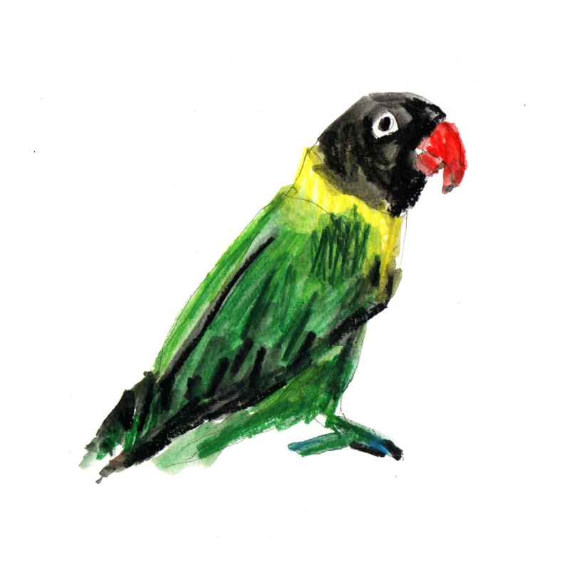 PIU 10