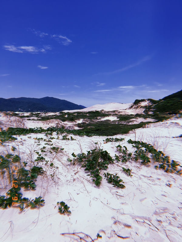 LL_PRAIADESERTA