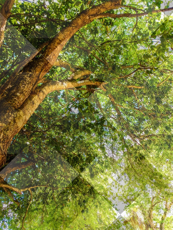 LUGAR NA NATUREZA