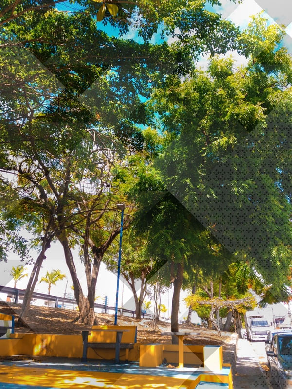 ARTE E NATUREZA NA CIDADE