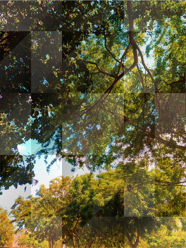 NATUREZA AO QUADRADO