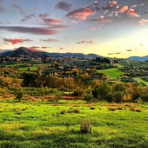 TUSCANY MORNING MOMENTS