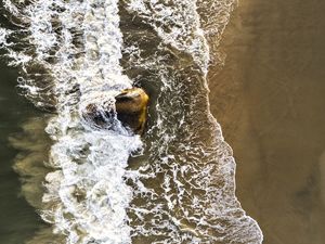 O MAR E AS PEDRAS XIX