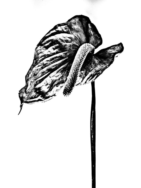 ANTÚRIO PB