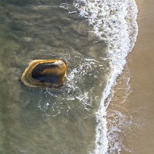 O MAR E AS PEDRAS XXXI