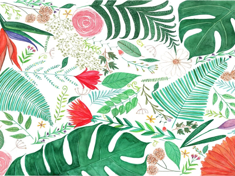 FLORES E FOLHAS DE AQUARELA