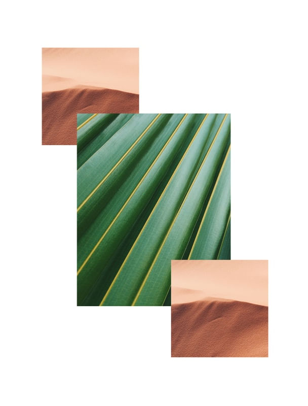 NATURE 1.0