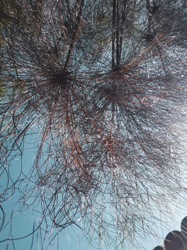 PAPIRO