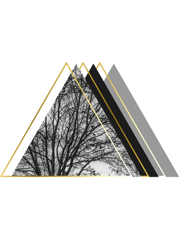 TRIGOLDEN 1/3