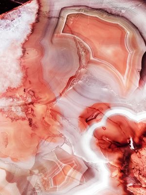 LIVING CORAL GEMSTONE