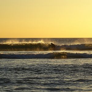 GOLDEN WAVES