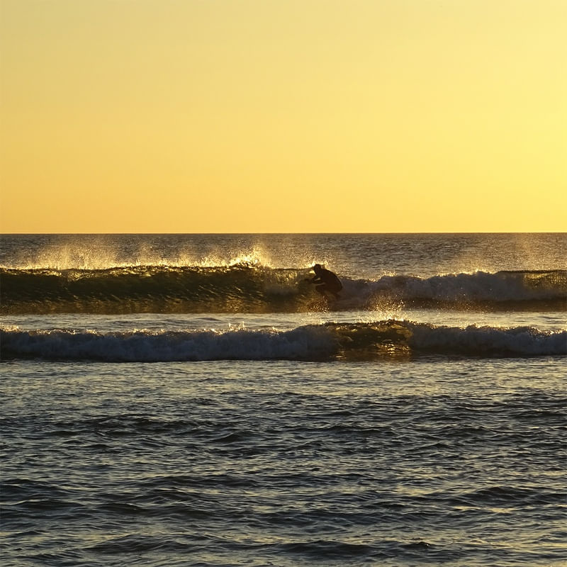 GOLDEN WAVES