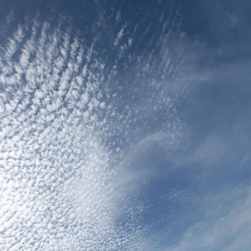 SONHANDO COM NUVENS