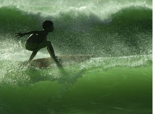 O SURFISTINHA VERDE