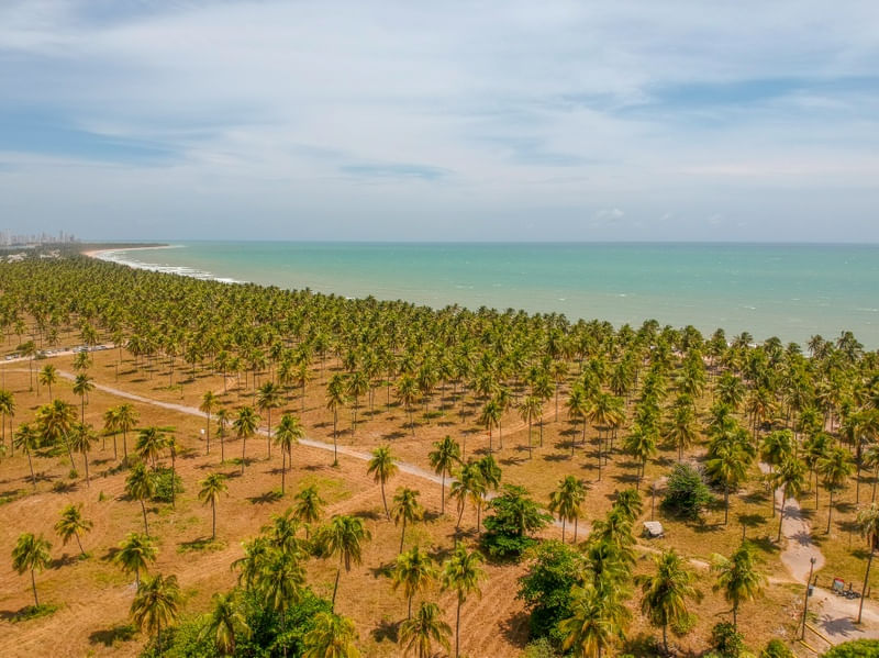 COQUEIROS E MAR PAIVA
