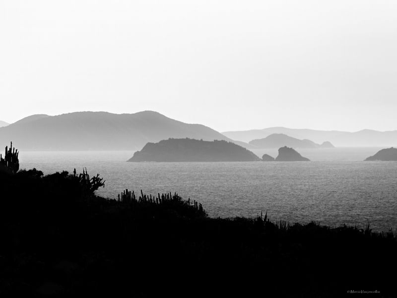 PAISAGEM BW2