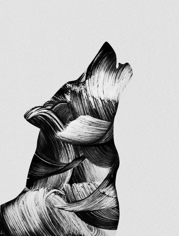 WOLF SHAPE