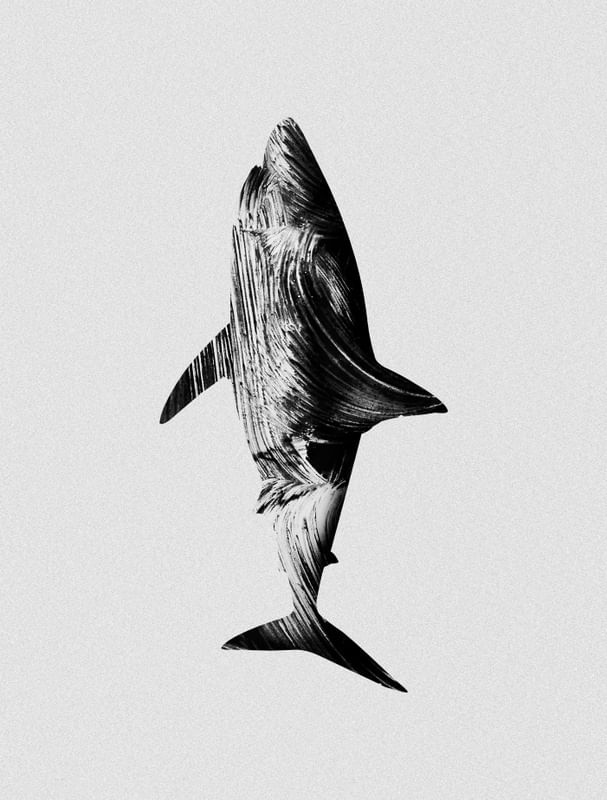 SHARK SHAPE