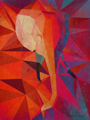 ELEFANTE ABSTRATO