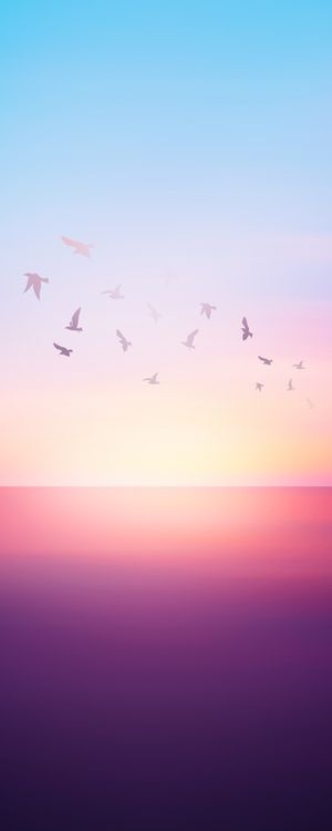 ABSTRACT SUNSET VIII - PANORAMIC