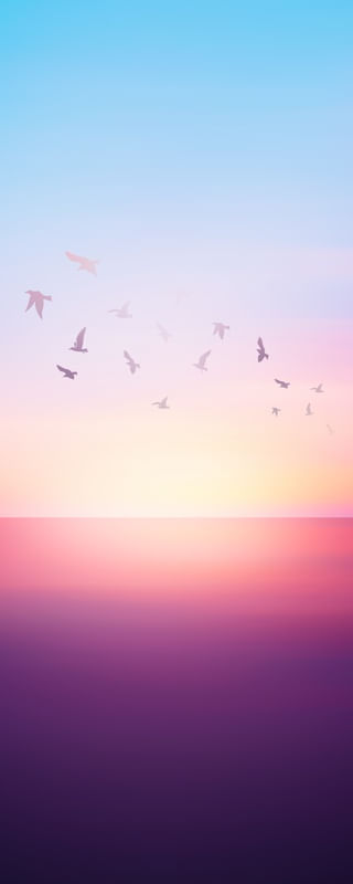 ABSTRACT SUNSET VIII - PANORAMIC