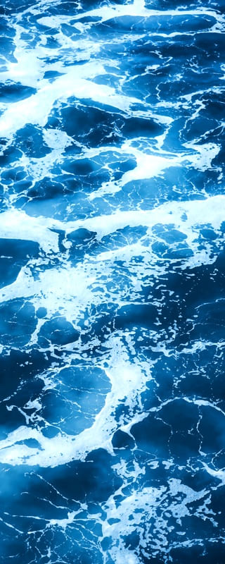 TROPICAL XX - PANORAMIC