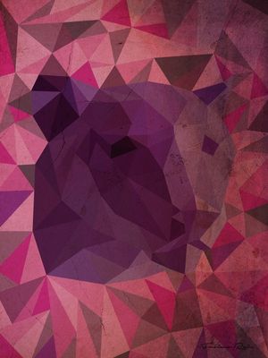 TIGRE ABSTRATO