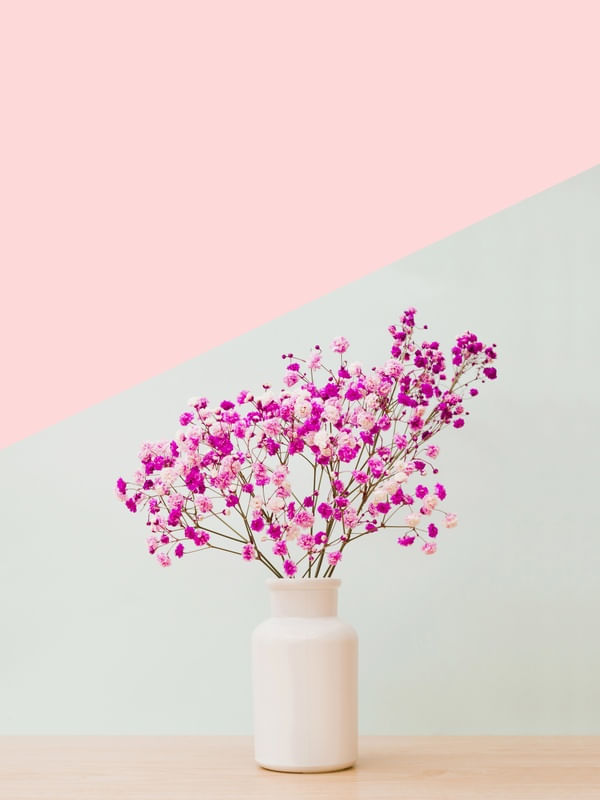 FLORES E ROSA