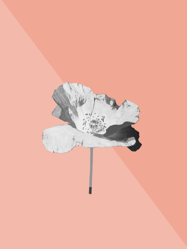 FLOR DE PAPEL