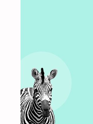 ZEBRA E O AZUL