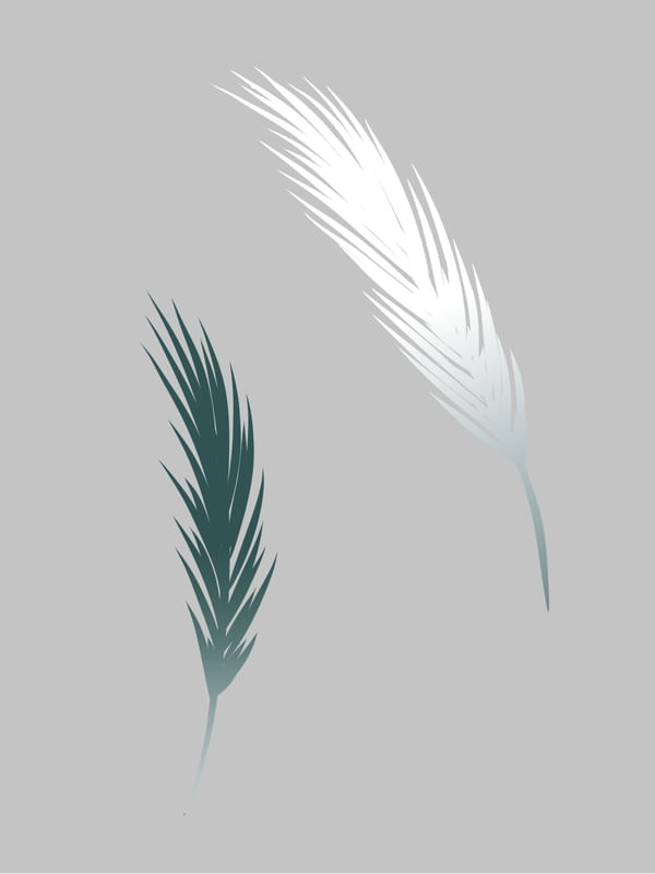 PLUMAS I