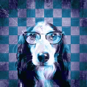 DOGUINHO XADREZ