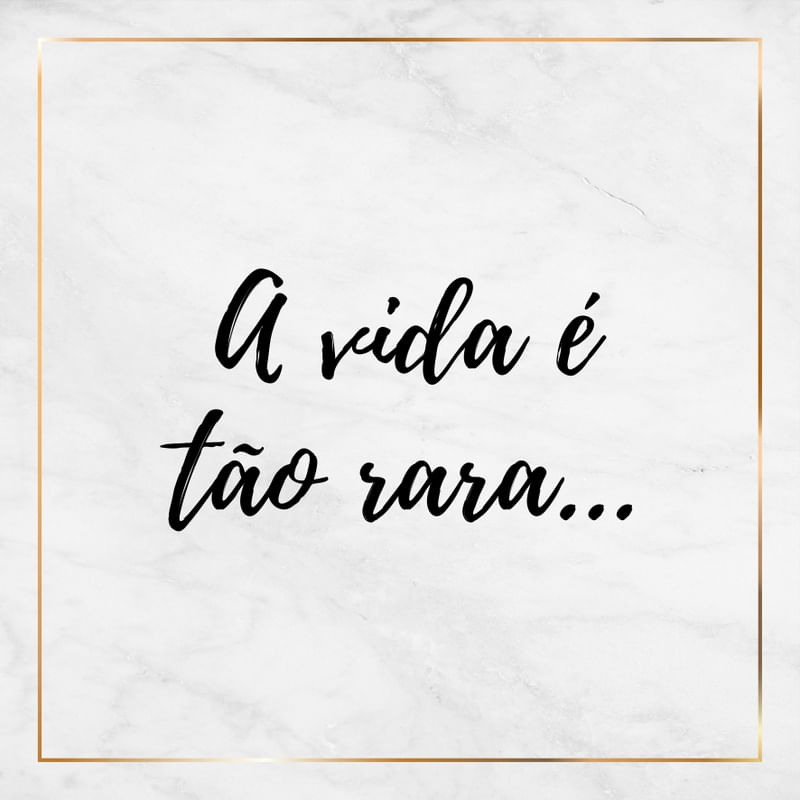 A VIDA É TÃO RARA - SÉRIE MÁRMORE