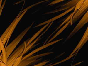 GOLDEN FOLIAGE