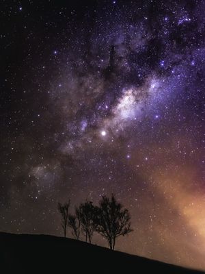 ARVORE E VIA LACTEA