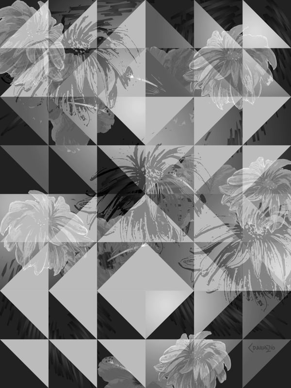 GEOMÉTRICO_P&B_FLORAL